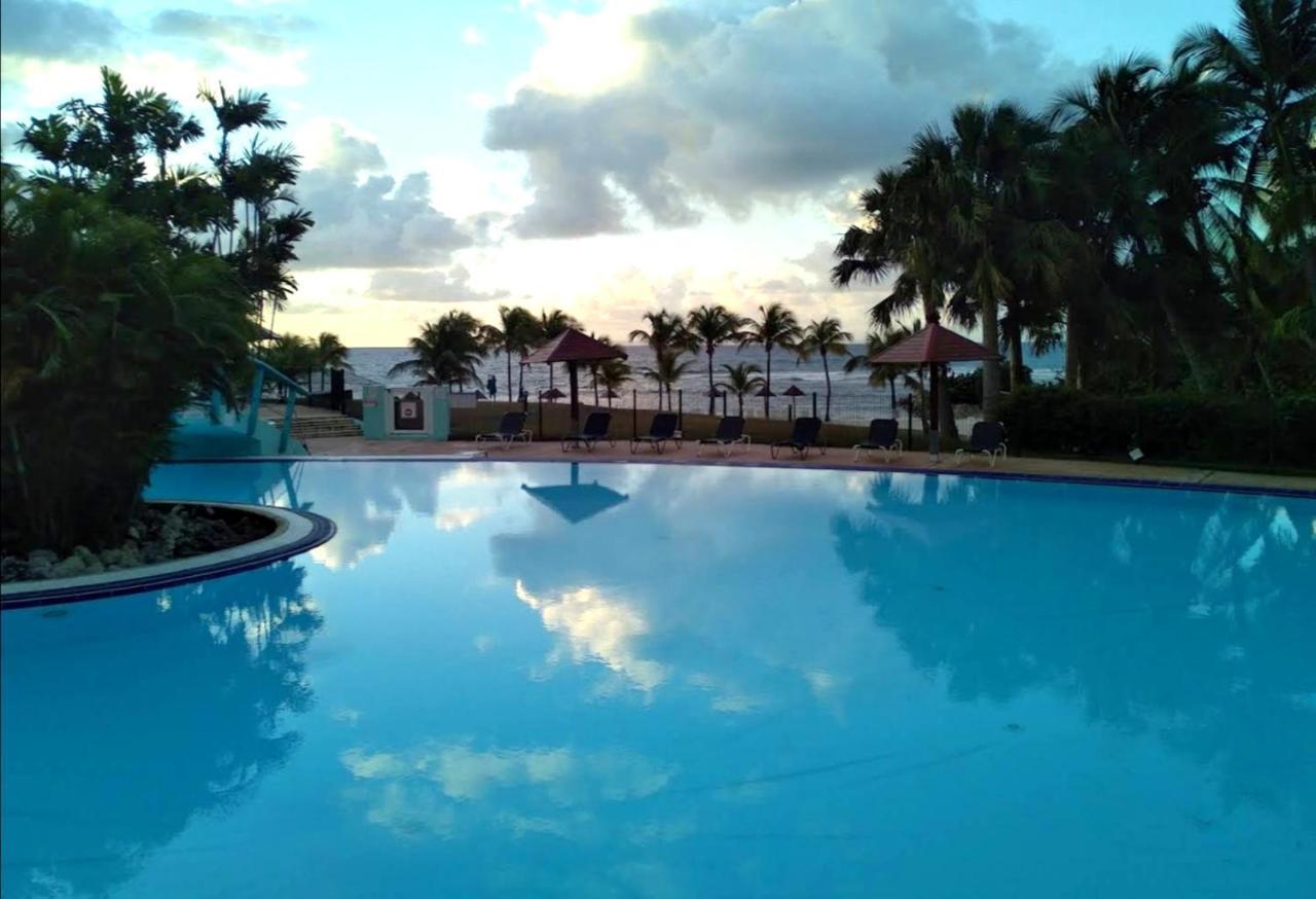 La Perle Des Caraibes Apartment Sainte-Anne  Exterior foto
