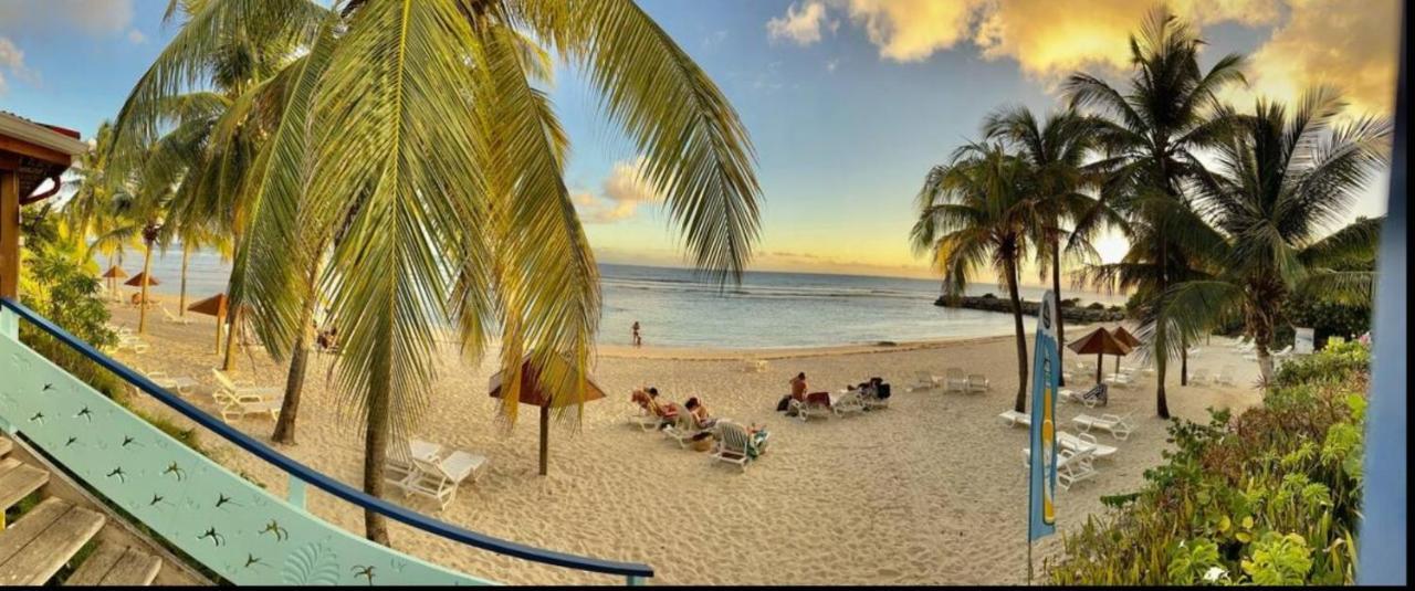 La Perle Des Caraibes Apartment Sainte-Anne  Exterior foto