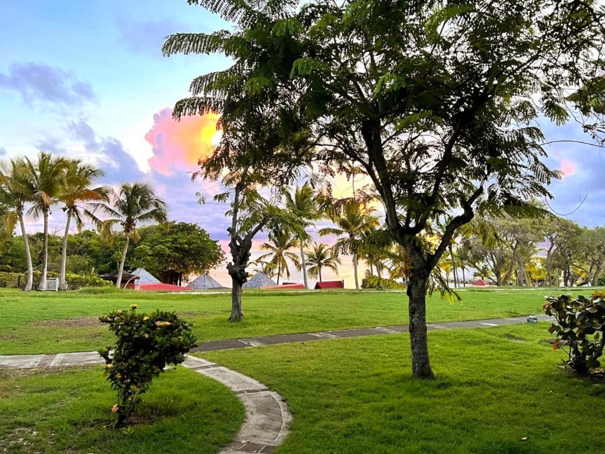 La Perle Des Caraibes Apartment Sainte-Anne  Exterior foto